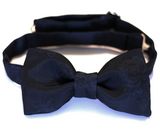 Navy Blue Floral Bow Tie