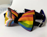 Pride Bow Tie, Intersex-Inclusive Progress Flag